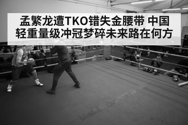 boxer training gym