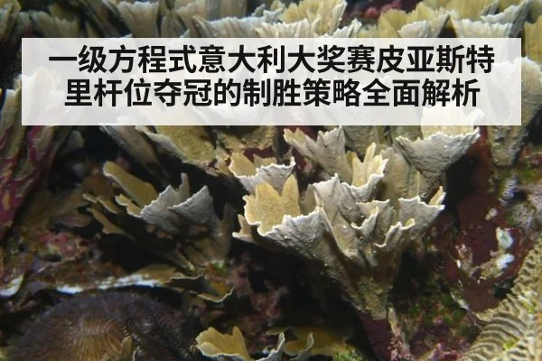 一级方程式意大利大奖赛皮亚斯特里杆位夺冠的制胜策略全面解析
